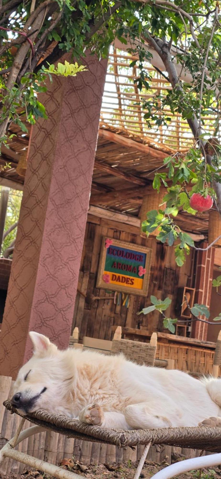 Ecolodge Aroma Dades El Hart 外观 照片
